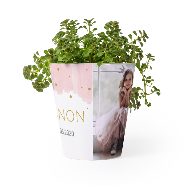 Bloempot Bloempot