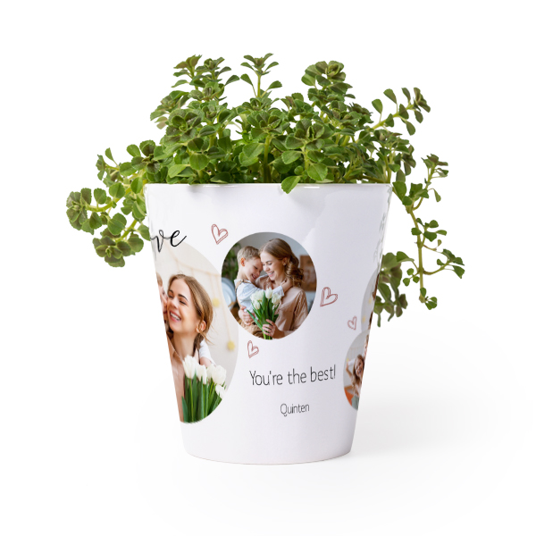 Flower Pot Flower Pot