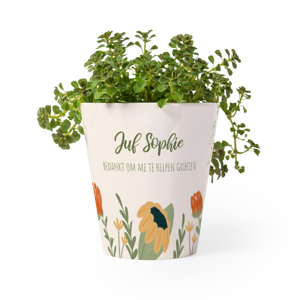 Bloempot Bloempot
