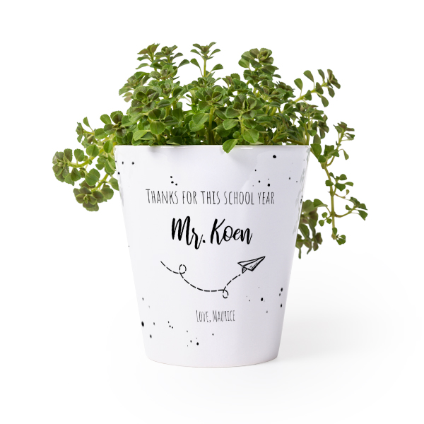 Flower Pot