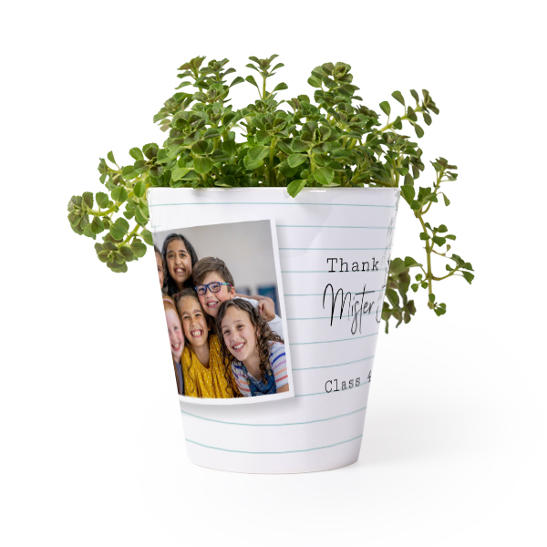 Flower Pot Flower Pot