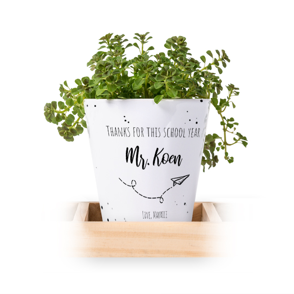 Flowerpot (Set of 3)
