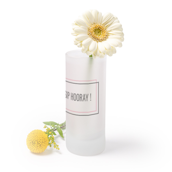 Frosted Glass Vase Frosted Glass Vase
