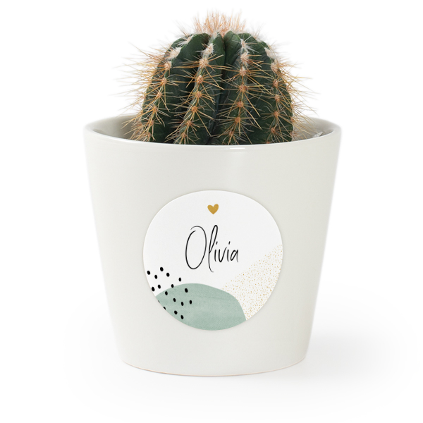 Plant Pot with Sticker - Set of 12 Plant Pot with Sticker - Set of 12