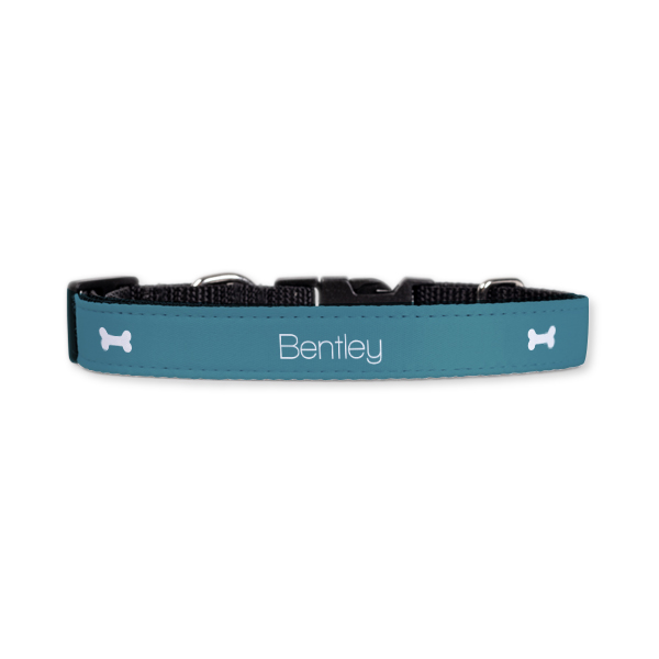 Dog Collar Medium 2cm Dog Collar Medium 2cm