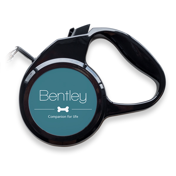 Pet Leash Pet Leash