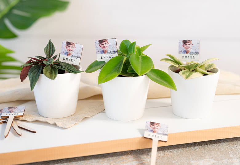 Gepersonaliseerde bloempotjes (set van 12)