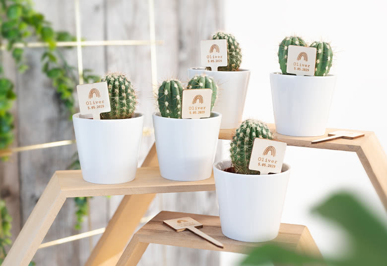 Gepersonaliseerde bloempotjes (set van 12)