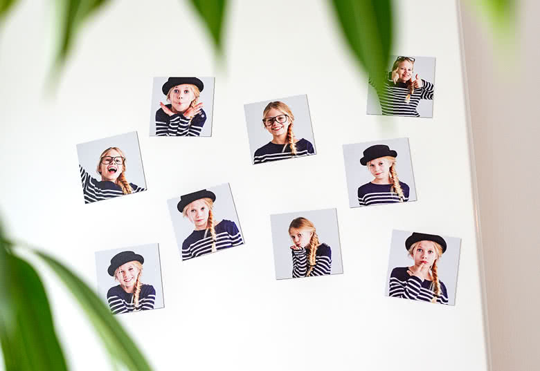 Fridge Magnets