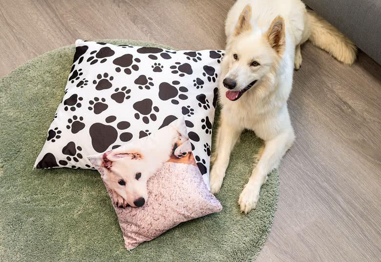 Photo Cushion