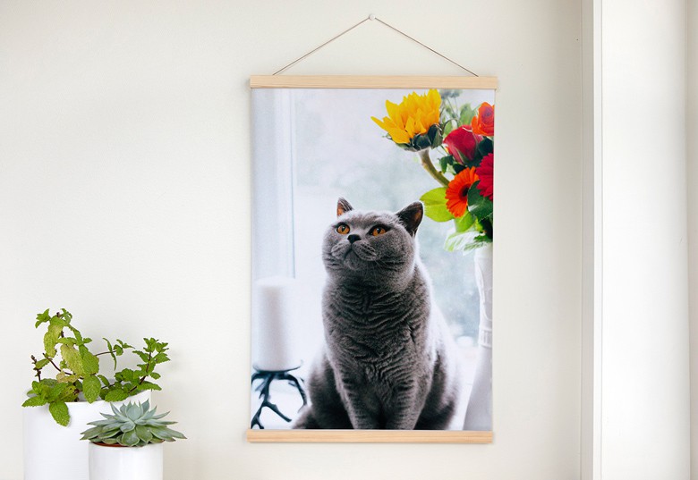Poster with Magnetic hanger