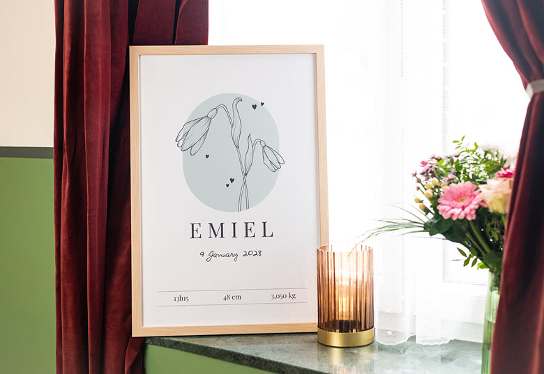 Framed Photo Posters
